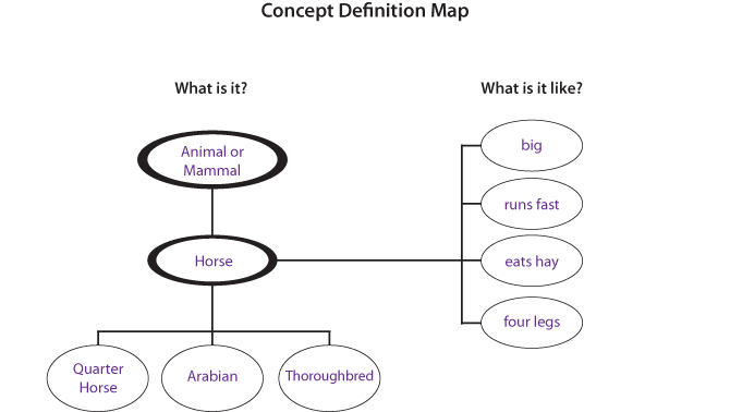 Concept Map Mammal