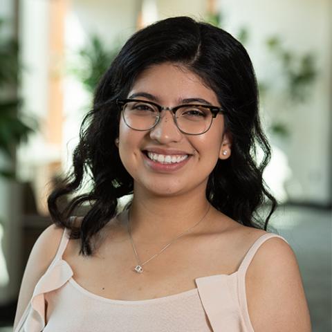 Lizeth A. Diaz Rodriguez